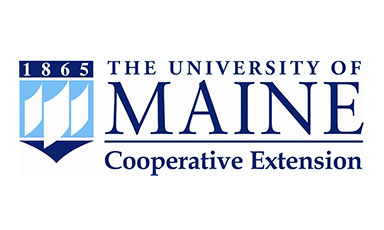 University of Maine