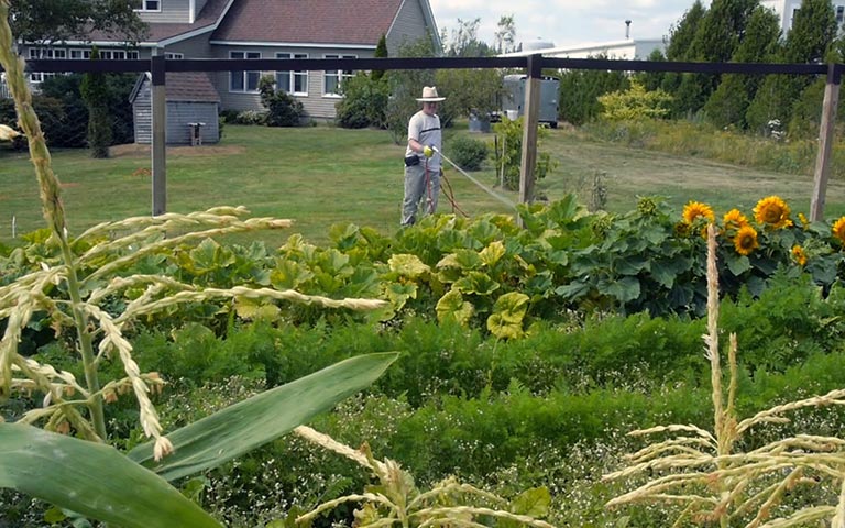 Spraying Garden