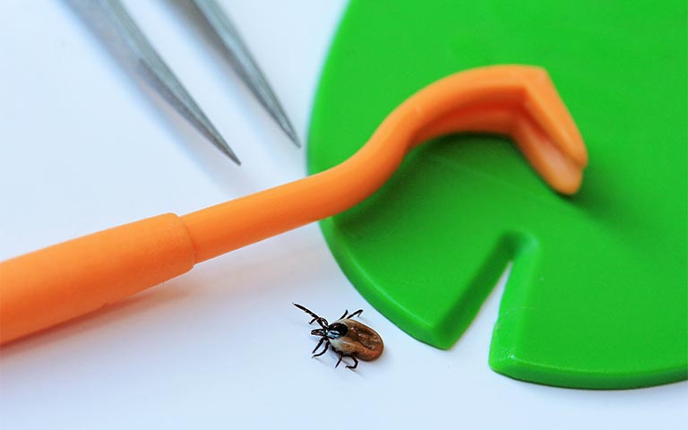 Tick Removal Tools